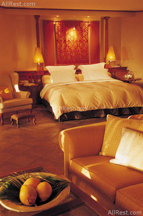 Royal Palm 5